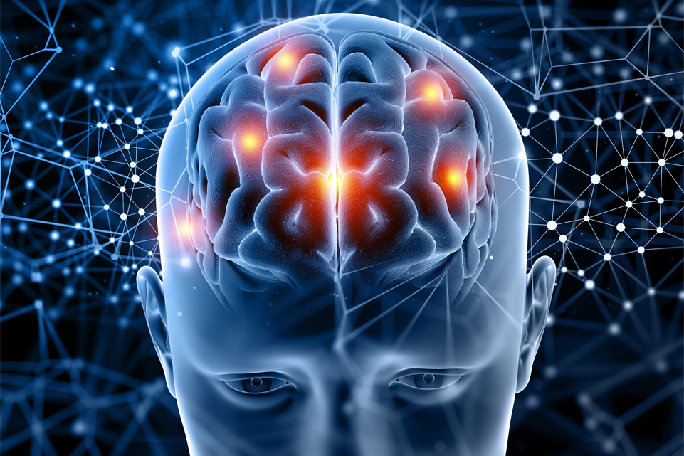 Agykutatás, megelőzés és agykapacitás